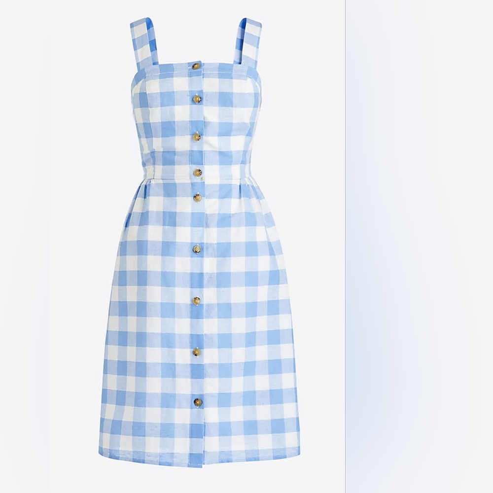 J. Crew Blue and White Gingham Dress